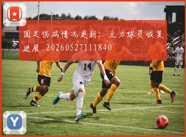 国足伤病情况更新：主力球员恢复进展_20260527111840